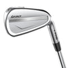 Ping i230 Golf Irons